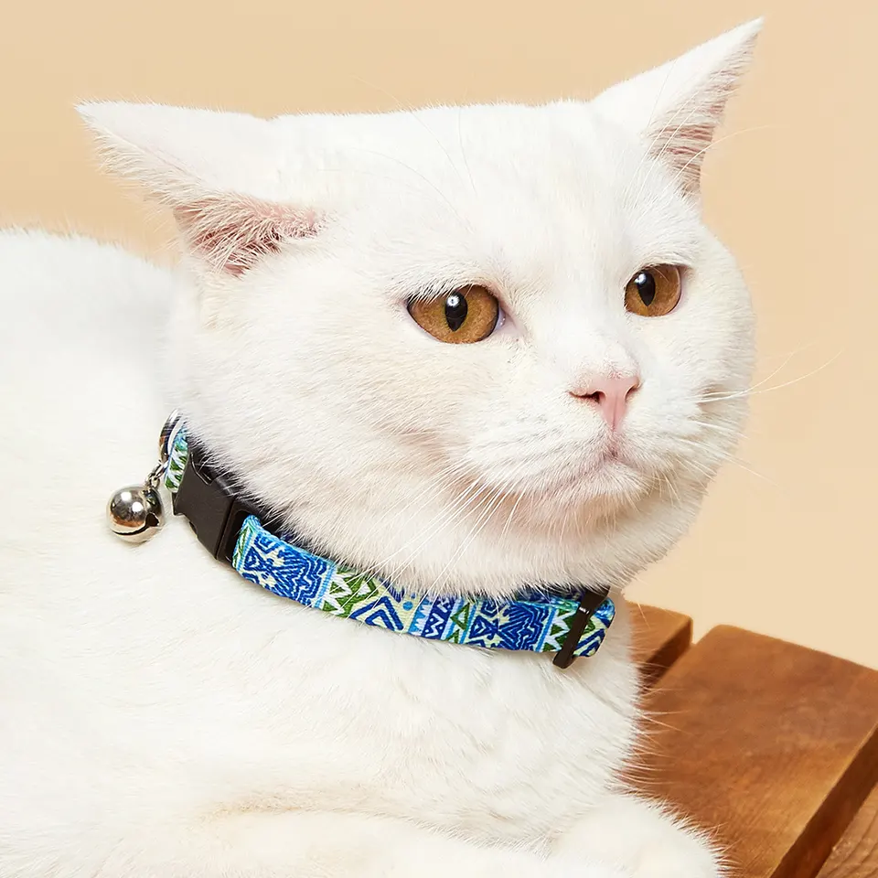 Cat & Small Dogs Collar - AGTC