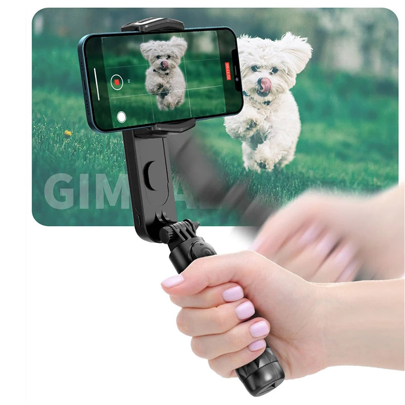 2023 Gimbal Stabilizer with Fill Light - AGTC