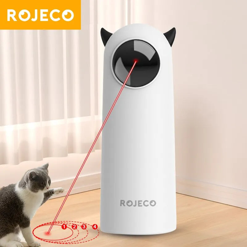 Cat chasing the LED laser