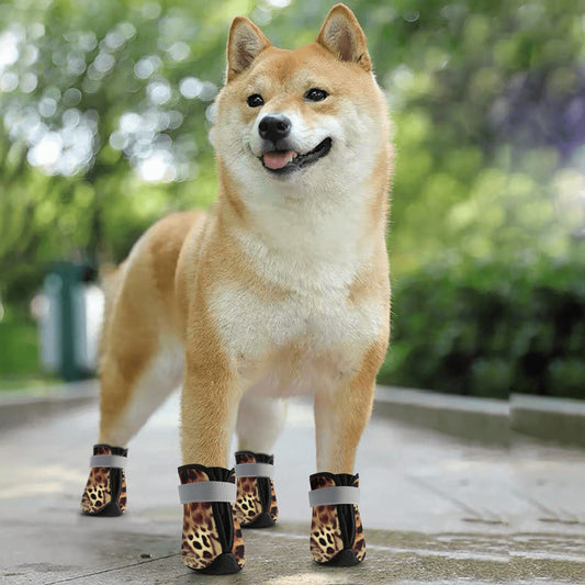 Main Product: Leopard Non-Slip Dog Socks - Front View