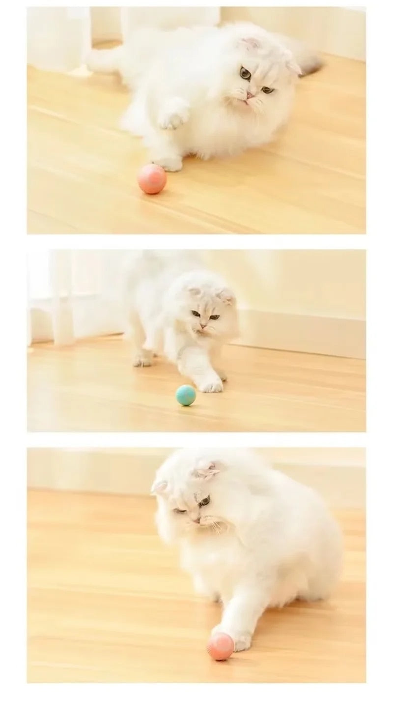 Smart Cat Toys Interactive Rolling Ball | Keep Your Cat Entertained and Active - AGTC