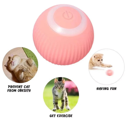 Smart Cat Toys Interactive Rolling Ball | Keep Your Cat Entertained and Active - AGTC